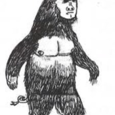 Kevin Strohfus