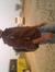 Abhishek