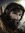 Wernicke | 2 comments