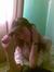 Wessam