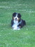 Annie