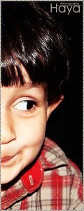 Haya