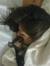Ahana