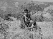 Vivek