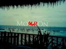 Marea