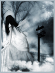 Andreea M