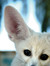 Carolin/Misha/Yans