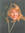 Mary Enck (maryenck) | 34 comments
