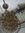 Bijay