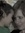 Kendra