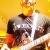 Michael Scibetta