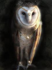 Sacredowl