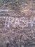 Phir
