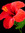 Cheri | 1 comments