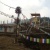 ནོར་བུ ཡོལ་མོ་པ