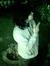 Vimal