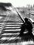 Keshav