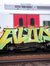 Alok