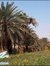 Zeinab