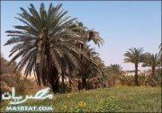 Zeinab