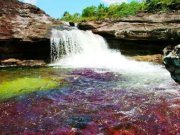 Fatima Baraka
