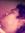 Amit