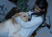 Ria