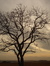 Jagadeesh