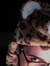 Roko
