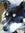 Maxiodie