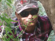 Harpalsinh