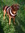 member photo member photo