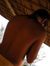 Rakesh