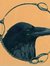 Raven