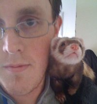 Ferret