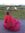 Kelsang
