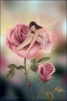 Amany