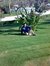 Hosam