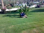 Hosam