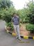 Neeraj