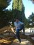 Ayoub