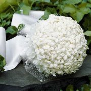 الأديبة ابتسام