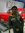 Swapnil