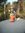 Harsha