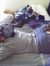 Sherina