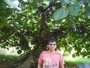 Suraj