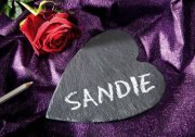 Sandie