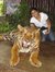 Roshni