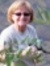 Phyllis