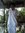 Kishore